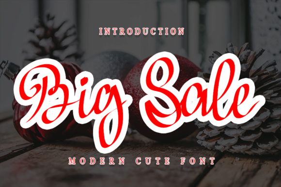 Big Sale: A Delicate and Timeless Handwritten Font for Branding