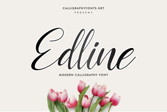 Edline: The Elegant Script Font for Eye-Catching Campaigns