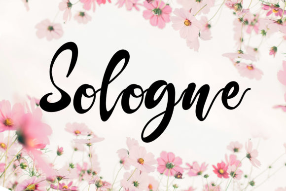Elevate Your Handmade Creations with Sologne Font