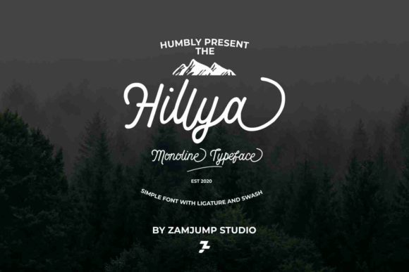 Enhance Your Campaign with Hillya: A Versatile Script Font